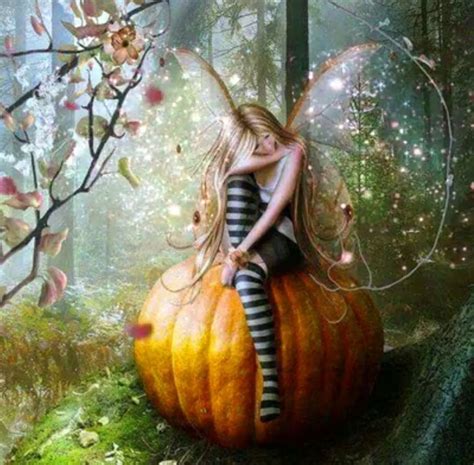 Pumpkin Fairy Bwin